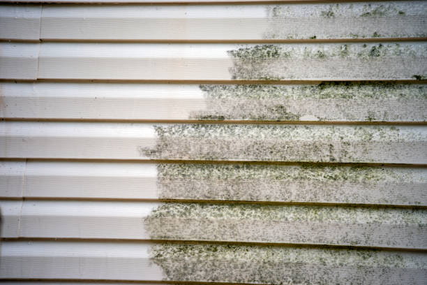 Recycling Services for Junk in Glen Cove, NY